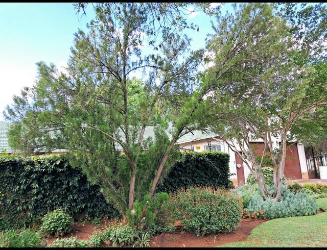 4 BEDROOM HOUSE FOR SALE IN FICHARDT PARK